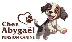 Pension canine Chez Abygael